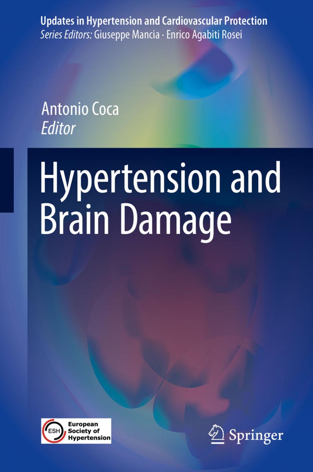 Big bigCover of Hypertension and Brain Damage