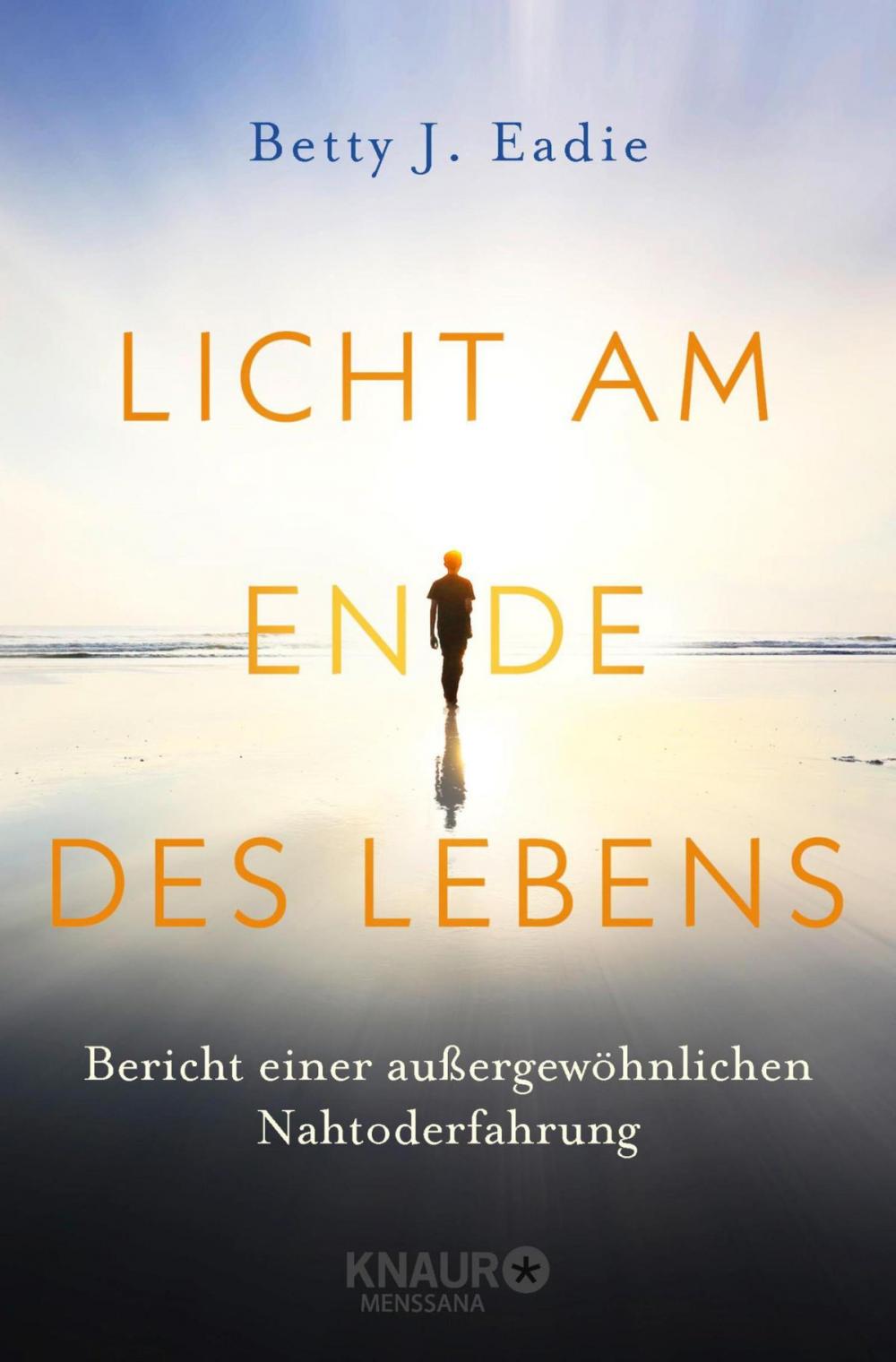 Big bigCover of Licht am Ende des Lebens