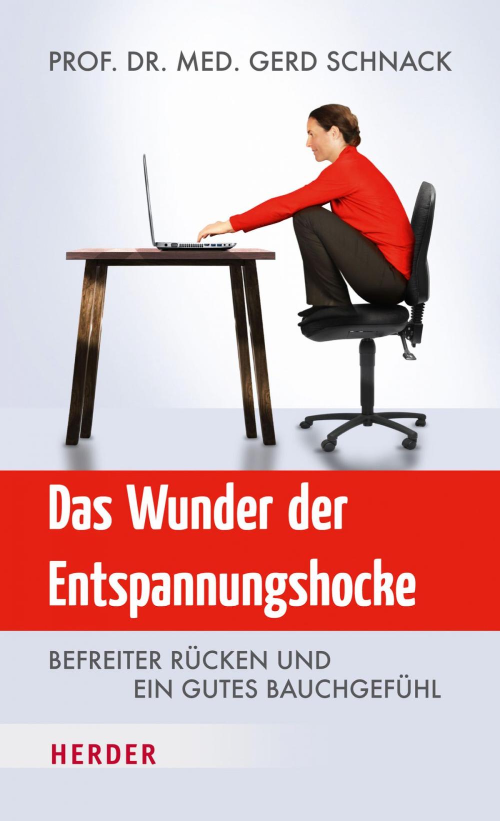 Big bigCover of Das Wunder der Entspannungshocke