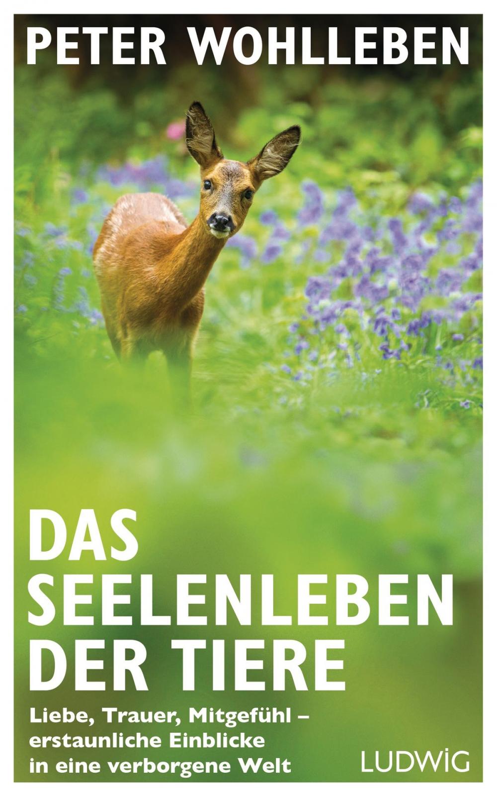 Big bigCover of Das Seelenleben der Tiere