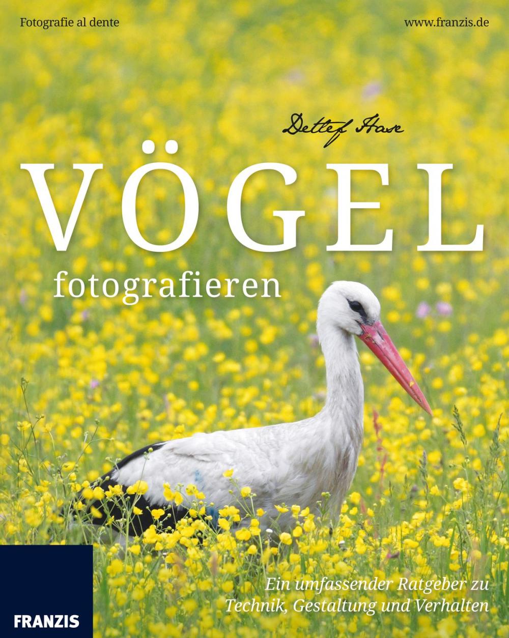 Big bigCover of Vögel fotografieren