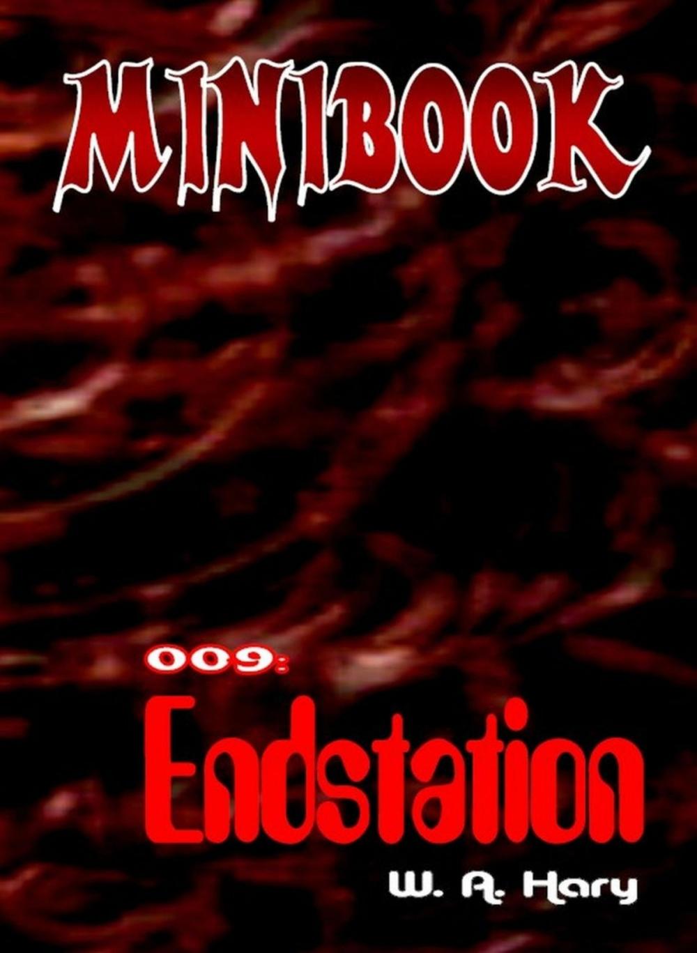 Big bigCover of MINIBOOK 009: Endstation