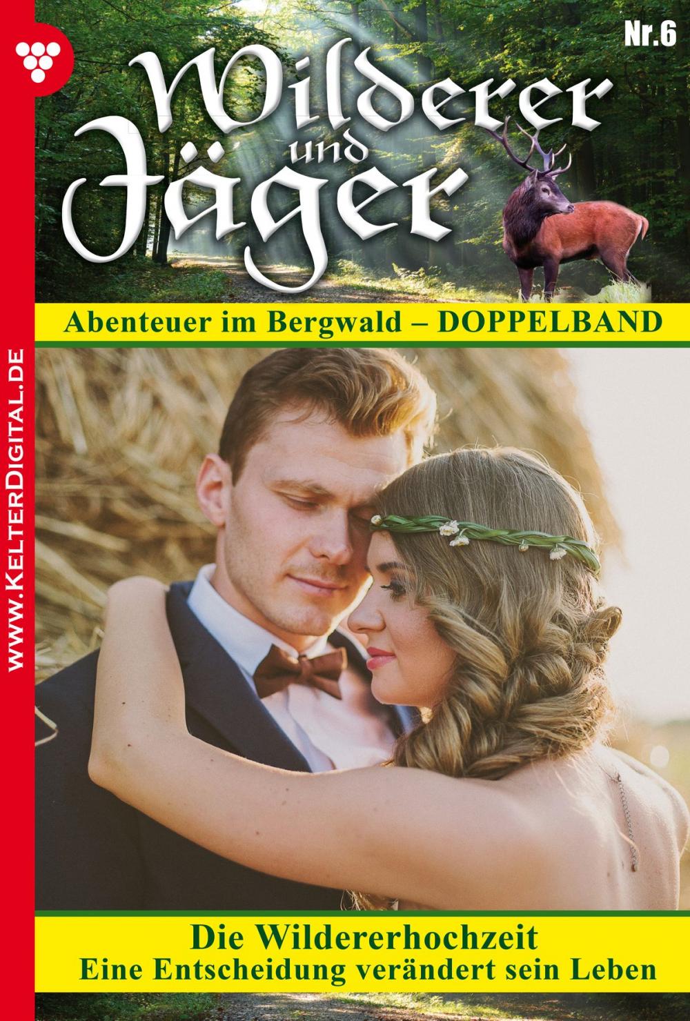 Big bigCover of Wilderer und Jäger 6 – Heimatroman