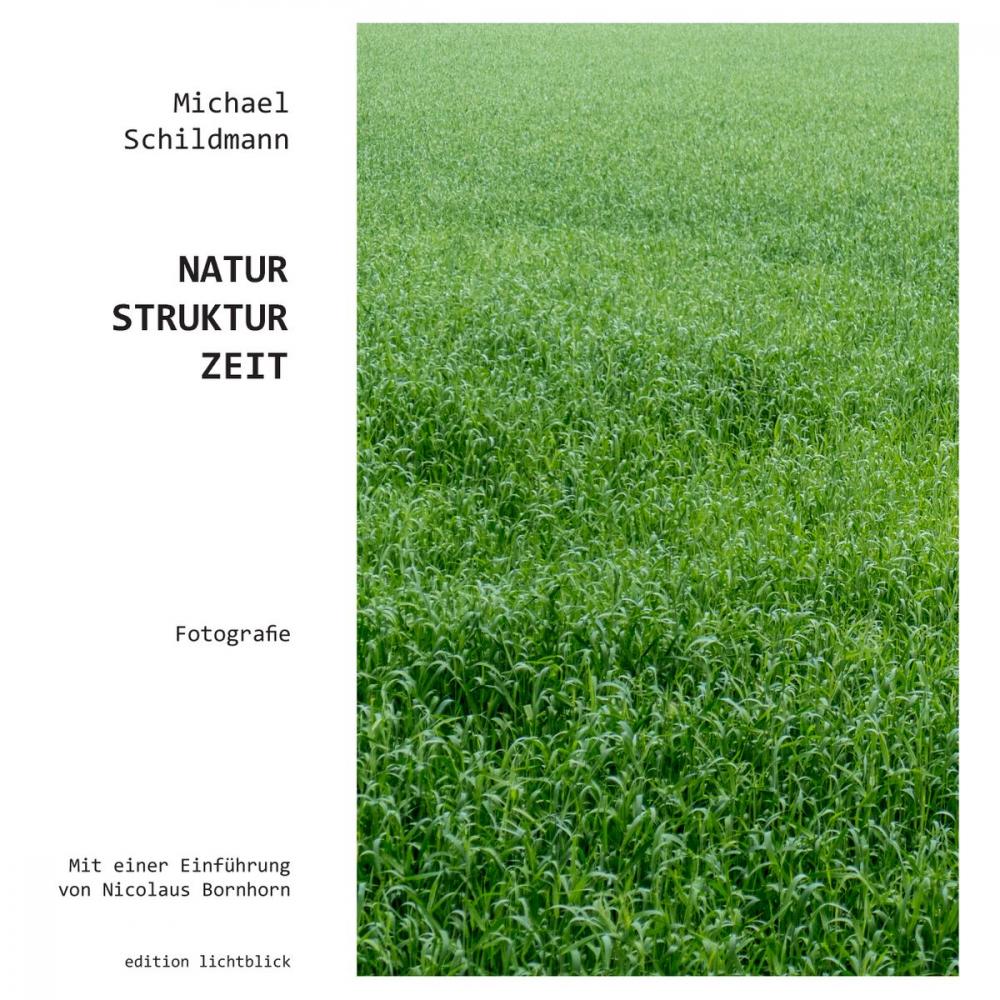 Big bigCover of Natur-Struktur-Zeit