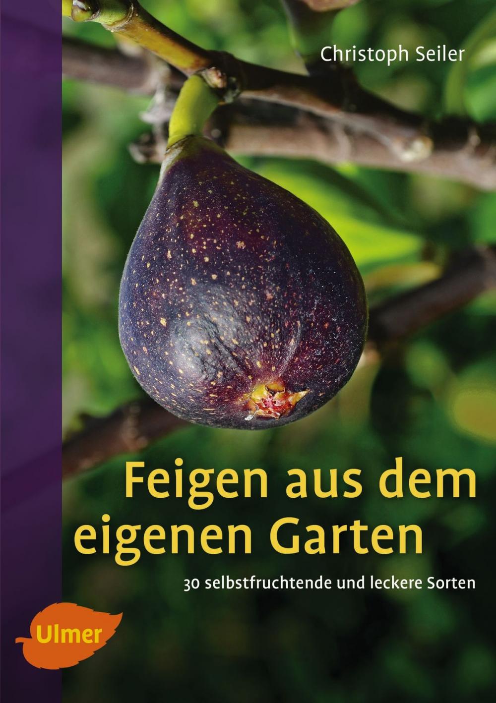 Big bigCover of Feigen aus dem eigenen Garten