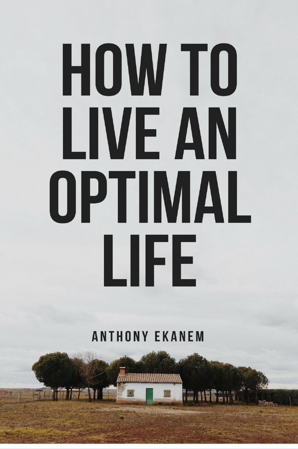 Big bigCover of How to Live an Optimal Life