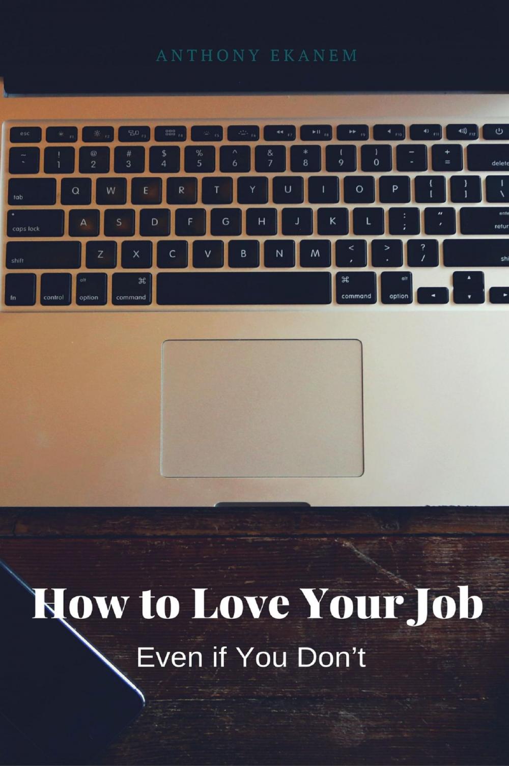 Big bigCover of How to Love Your Job