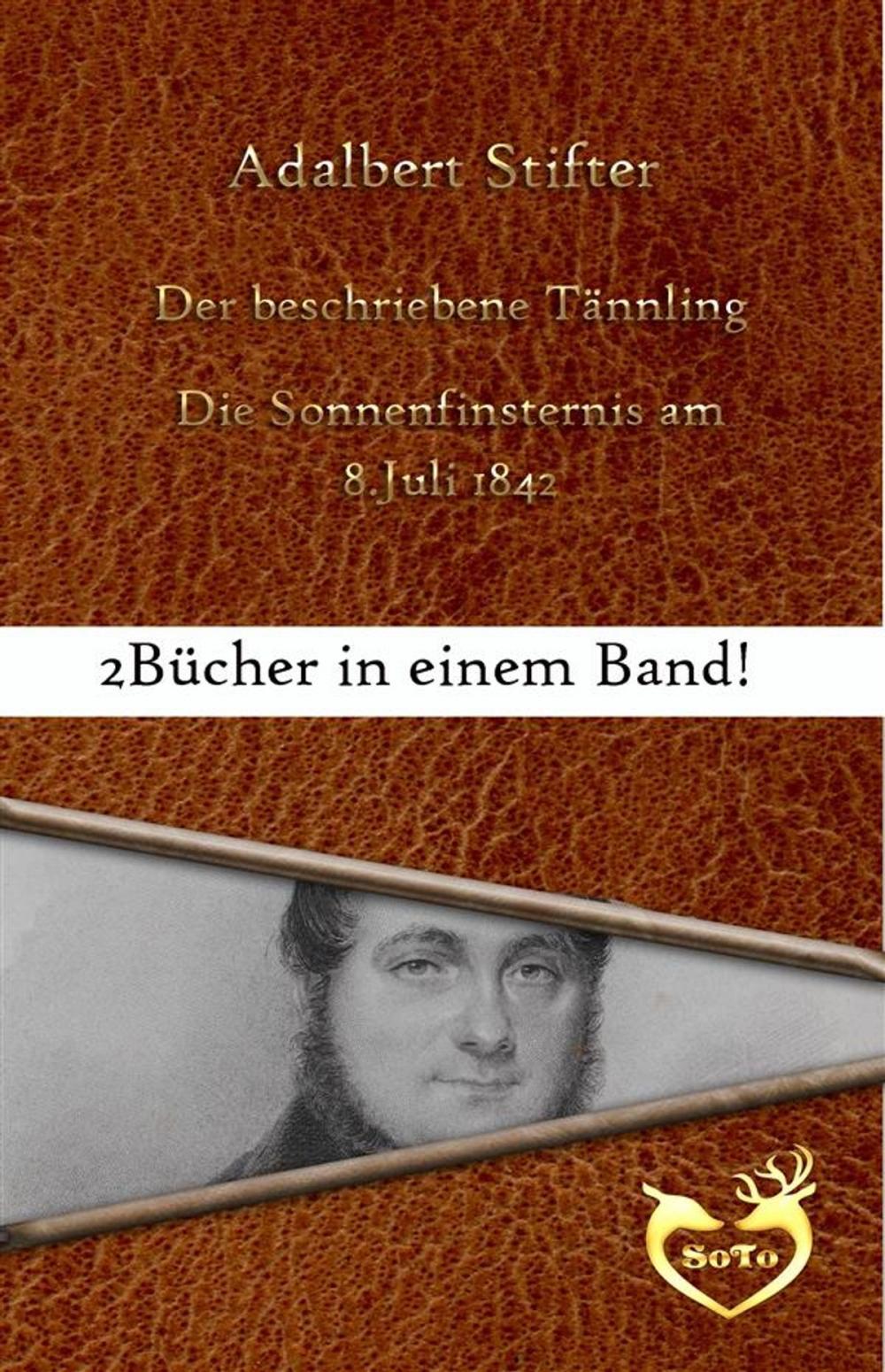 Big bigCover of Der beschriebene Tännling/Die Sonnenfinsternis am 8. Juli 1842