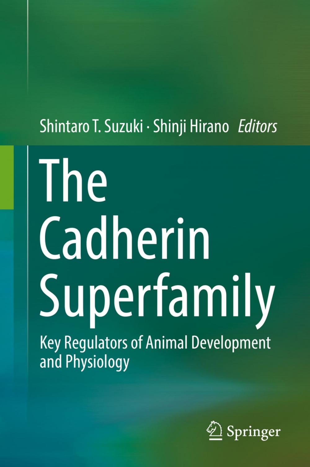Big bigCover of The Cadherin Superfamily