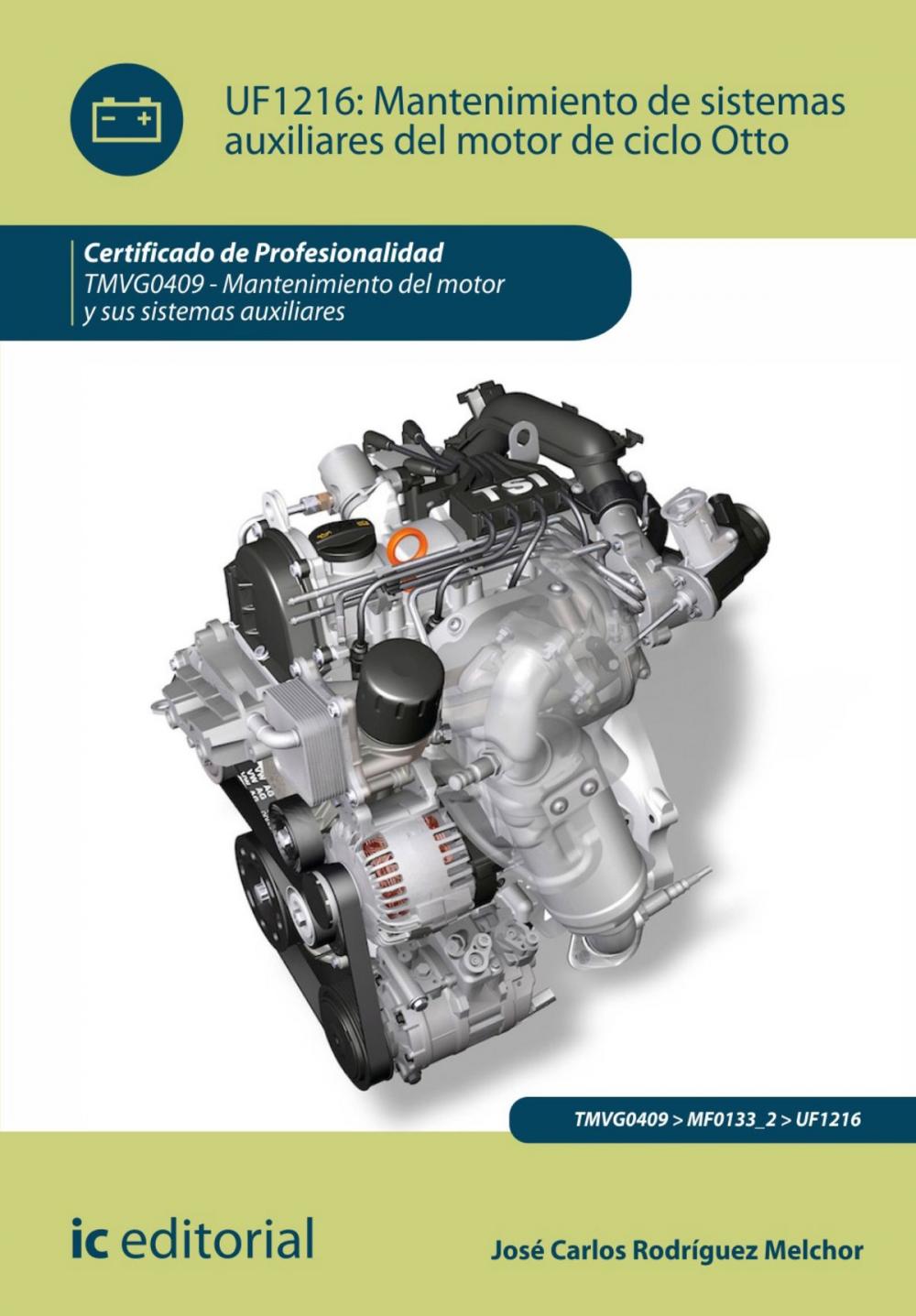 Big bigCover of Mantenimiento de sistemas auxiliares del motor de ciclo Otto