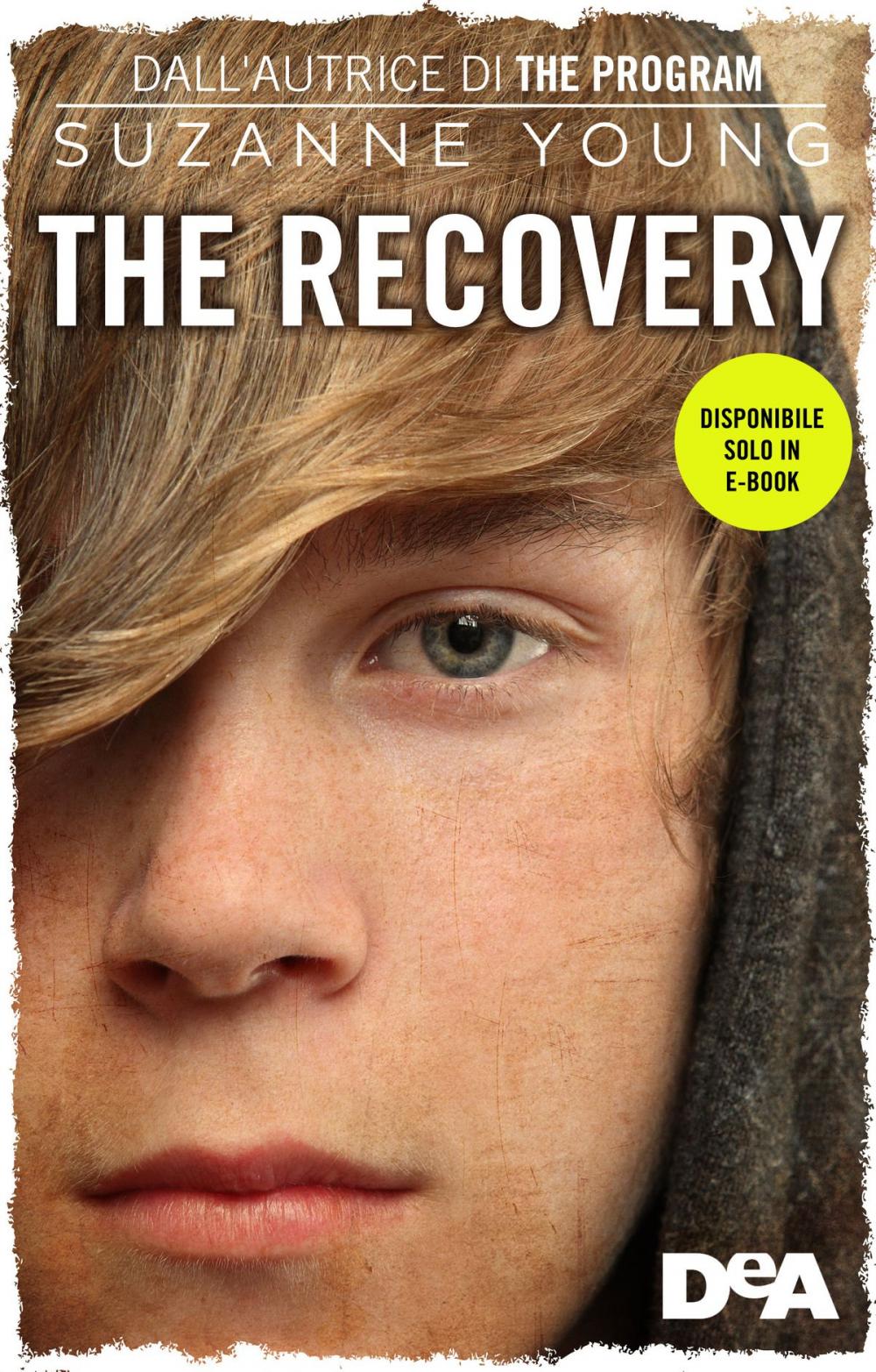 Big bigCover of The recovery