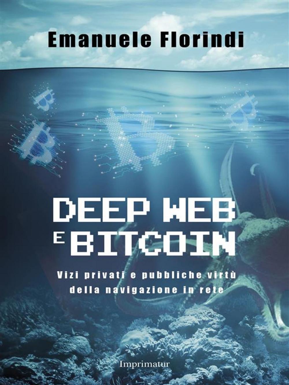 Big bigCover of Deep web e bitcoin