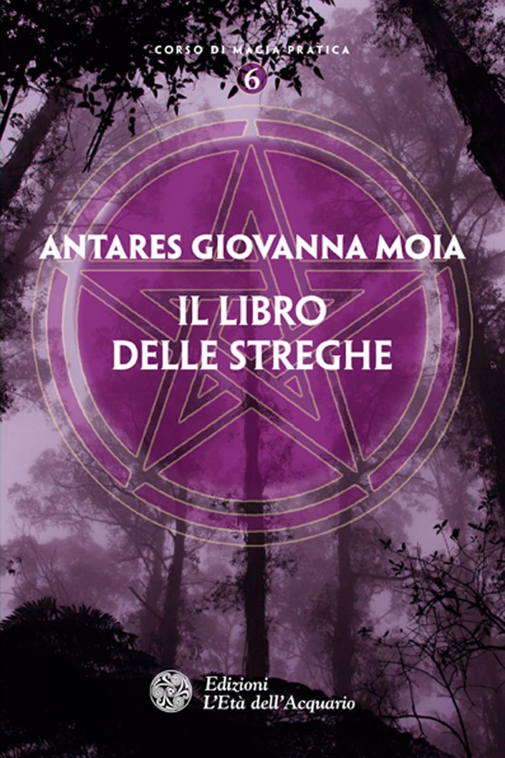 Big bigCover of Il libro delle streghe