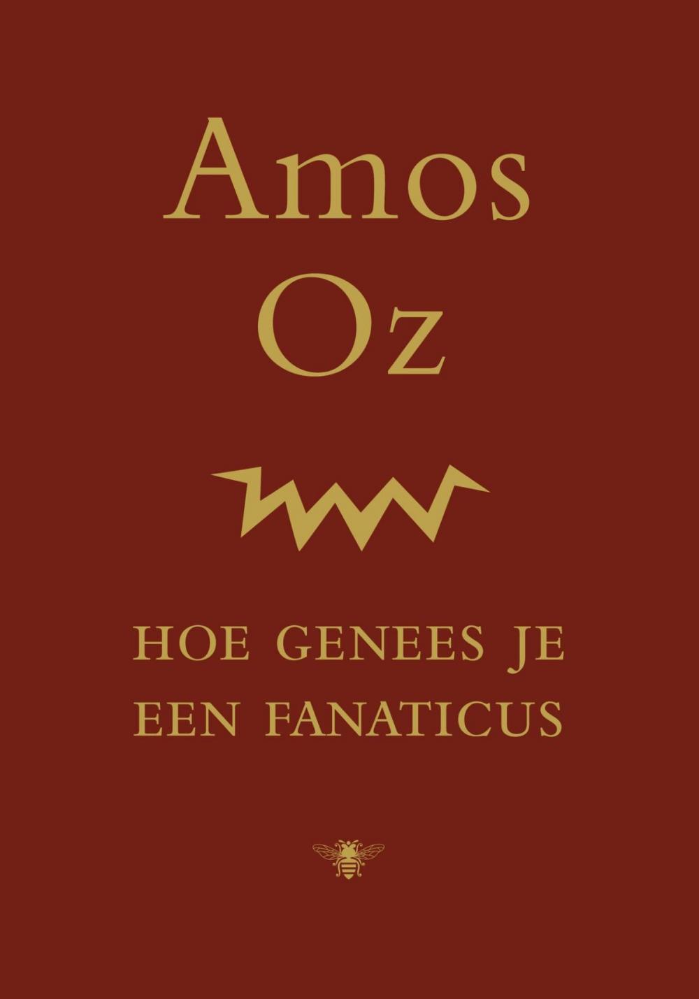 Big bigCover of Hoe genees je een fanaticus