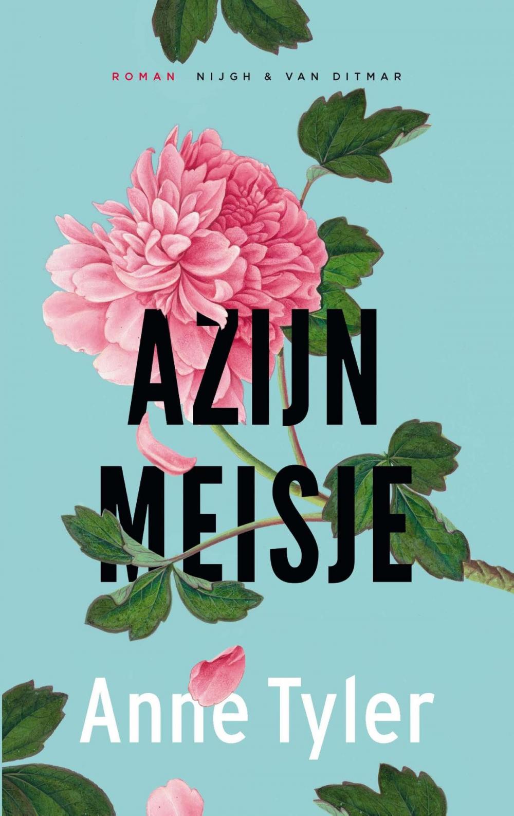 Big bigCover of Azijnmeisje