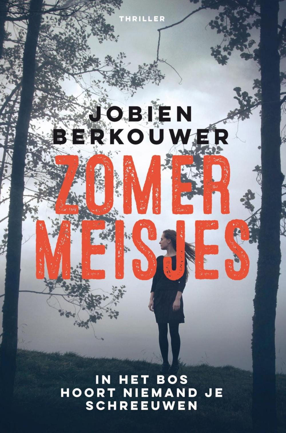 Big bigCover of Zomermeisjes