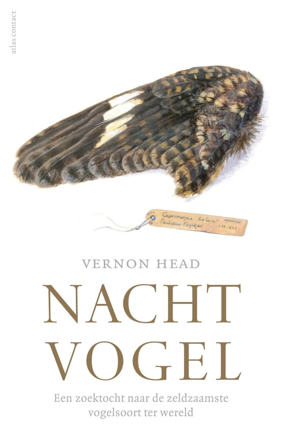 Big bigCover of Nachtvogel