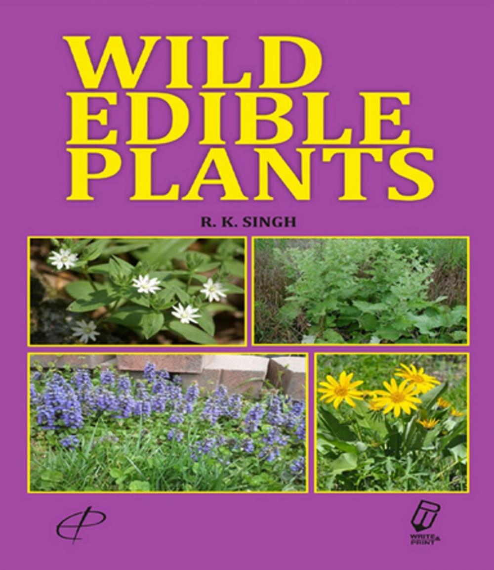 Big bigCover of Wild Edible Plants