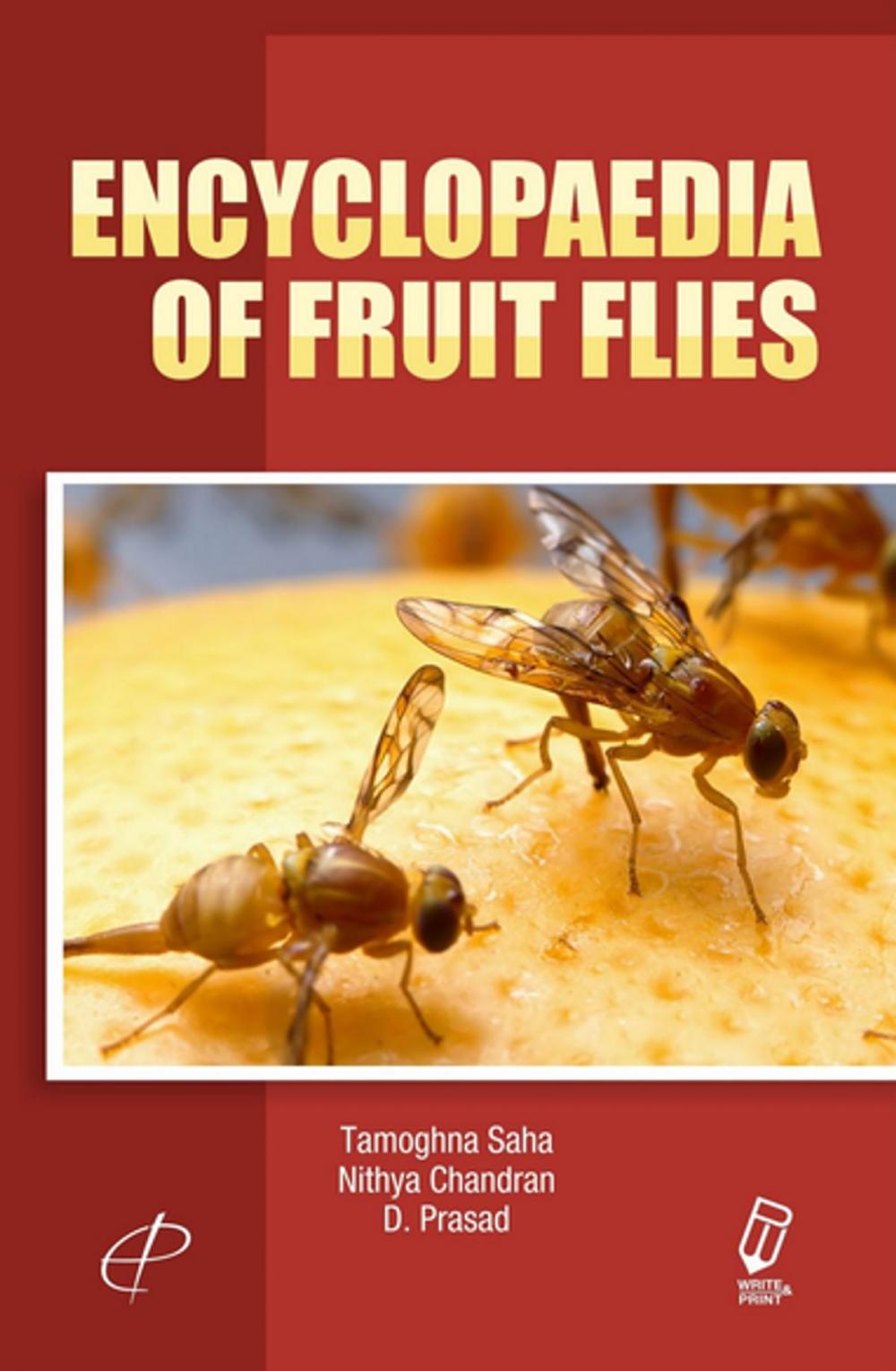 Big bigCover of Encyclopaedia of Fruit Flies