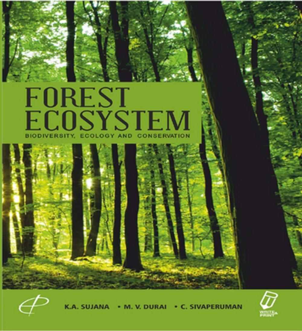 Big bigCover of Forest Ecosystem