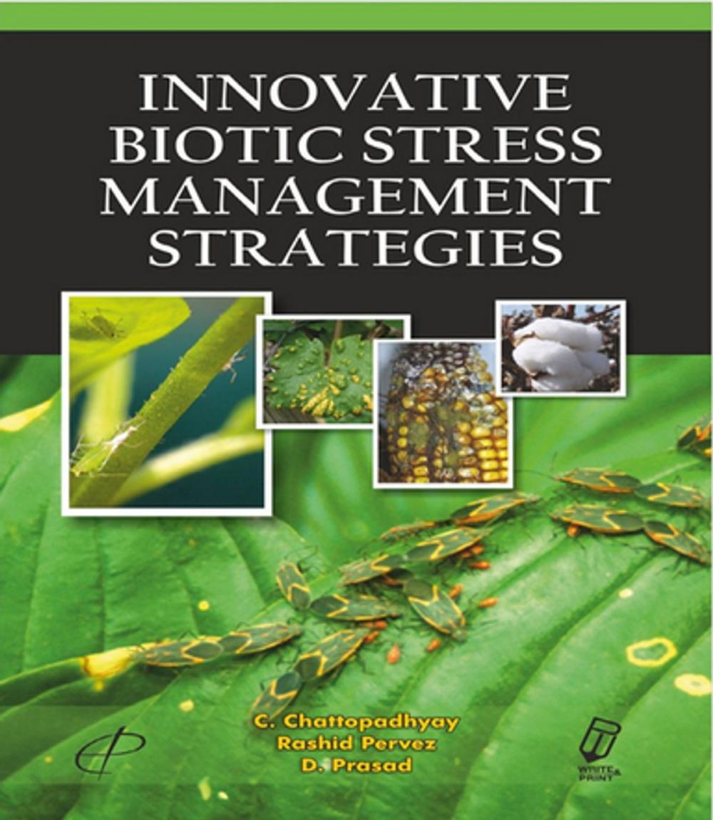 Big bigCover of Innovative Biotic Stress Management Strategies