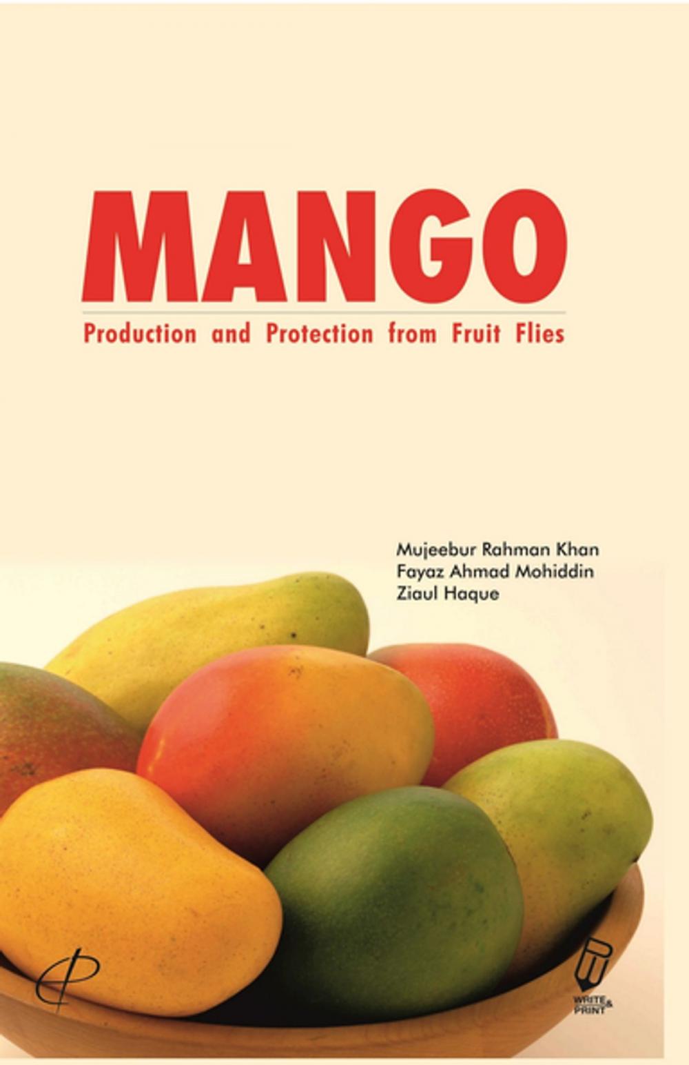 Big bigCover of MANGO