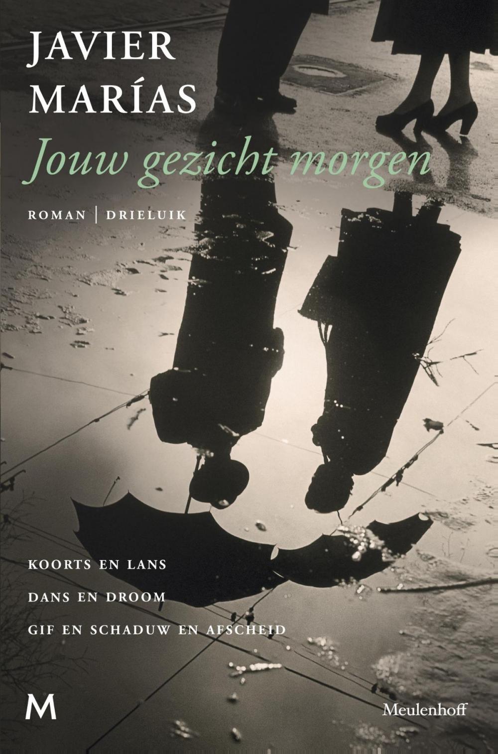 Big bigCover of Jouw gezicht morgen