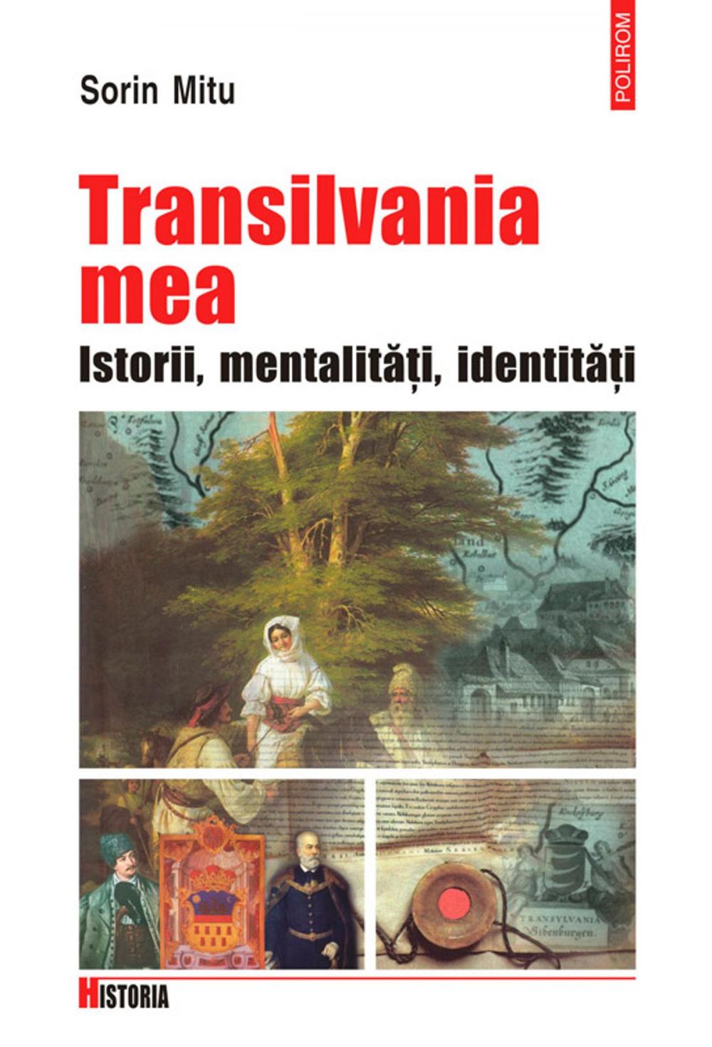 Big bigCover of Transilvania mea: Istorii, metalitati, identitati