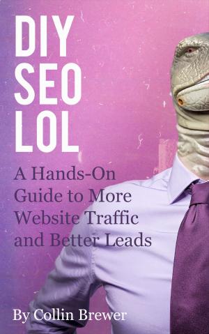 Cover of the book DIY SEO LOL by Fadi Tawil
