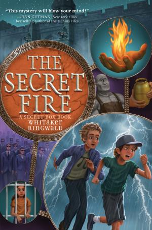 Cover of the book The Secret Fire by M. G. Reyes