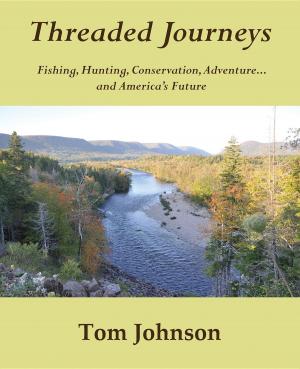 Book cover of Threaded Journeys