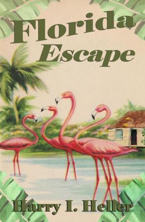 Book cover of Florida Escape