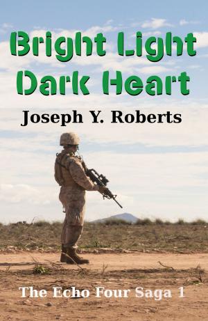 Cover of the book Bright Light, Dark Heart: A Short Story by J.A. Jaken