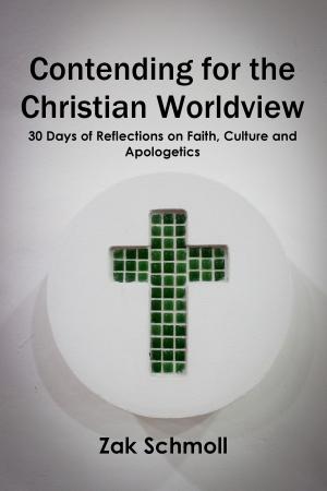 Cover of the book Contending for the Christian Worldview: 30 Days of Reflections on Faith, Culture and Apologetics by P. Richards
