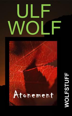 Cover of the book Atonement by Ulf Wolf