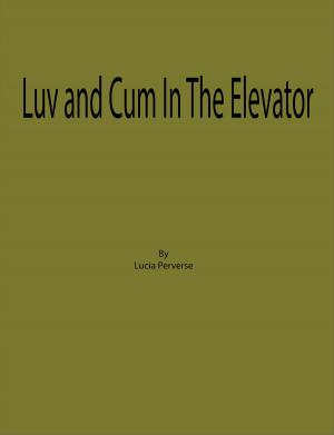 Cover of Luv and Cum In The Elevator
