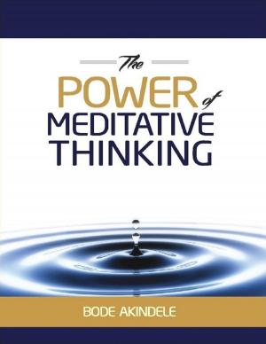 Cover of the book The Power of Meditative Thinking by Stephen Platt
