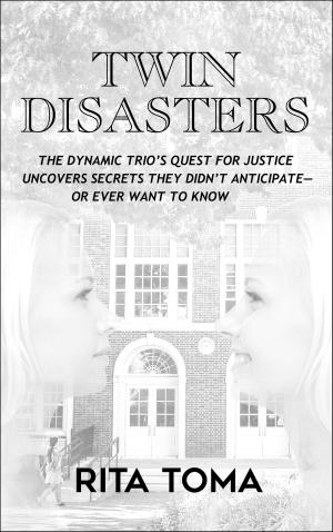 Book cover of Twin Disasters