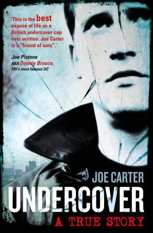 Cover of the book Undercover by Robin Carretti