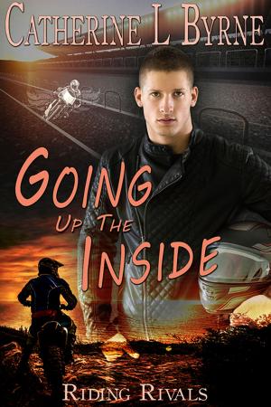 Cover of the book Going up the Inside by Jessica Maccario