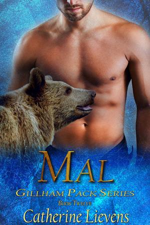 Cover of the book Mal by Chris Snow