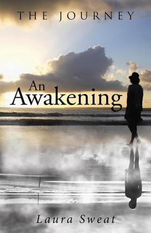 Cover of the book An Awakening by Dauren Francis