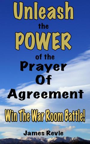 Cover of the book Unleash the Power of the Prayer of Agreement: Win The War Room Battle! by Stephen Freeman