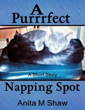 Cover of the book A Purrrfect Napping Spot by Nicola Gothard