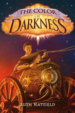 Cover of the book The Color of Darkness by Rebekah Frumkin