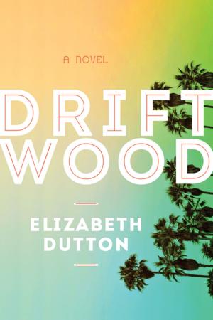 Cover of the book Driftwood by Kate Fiduccia