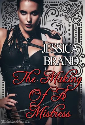 Cover of the book The Making of a Mistress by Stefan de Vries