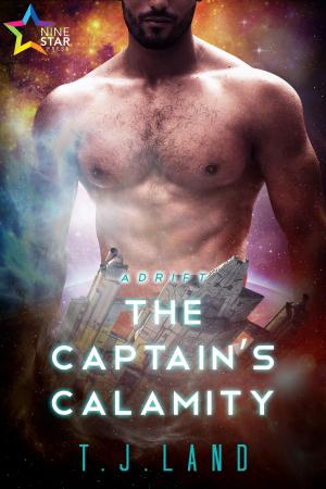 Cover of the book The Captain's Calamity by Giuditta Fabbro