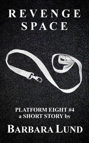 Cover of the book Revenge Space by Christopher O'Kennon