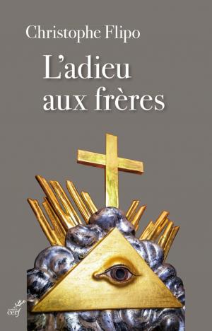 Cover of the book L'adieu aux frères by Agathe Brunet
